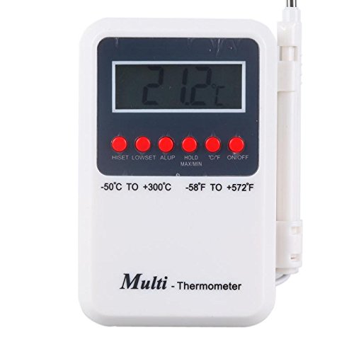 Digital Thermometer